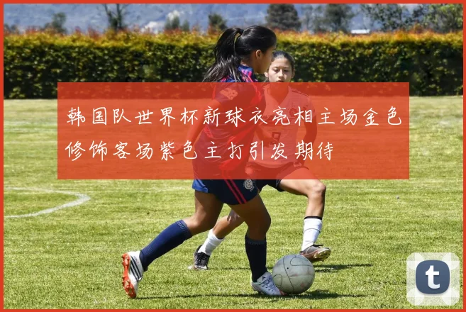 韩国队世界杯新球衣亮相主场金色修饰客场紫色主打引发期待