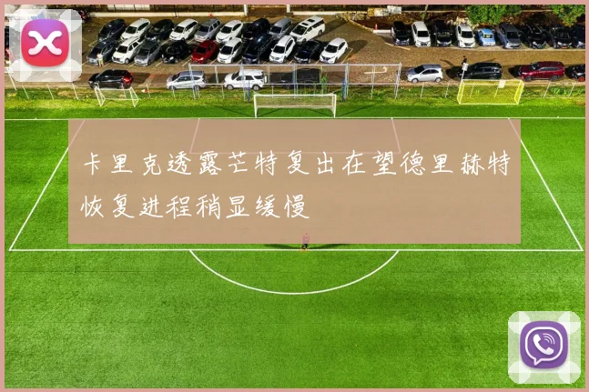 卡里克透露芒特复出在望德里赫特恢复进程稍显缓慢