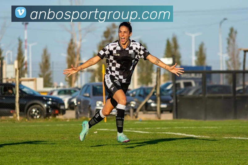 安博体育平台生态图